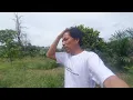 Download Lagu Recana lahan subur baru untuk pakde berkebun bersih-bersih sambil cari kayu bakar