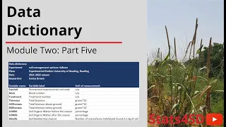 Data Management Data Dictionary