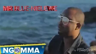 mr blue nielewe official video