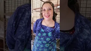 أم شهد بتستحمى مع الفراخ وبتشر بهم بيبسي أغرب محل دواجن ممكن تشوفه في حياتك هتشتري يعني هتشتري 