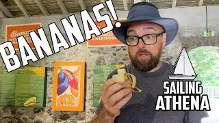 Sail Life – This is BANANAS! 🍌😉