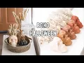 Easy and Affordable Dollar Tree Halloween DIY Decorations BoHo Halloween