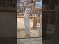 Download Lagu TING TANG TONG CAT CHALLENGE 😳 #shorts #tiktok #animals #funny #pets
