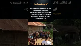 همسایه ها خانه اش را حمل کردند   به معنای واقعی کلمه  شورت  تاریخ نظامی  تاریخ نظامی  حقایق تاریخی دندنها