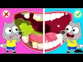 Lagu Hey Tooth, Please Stay! Safety Lessons  | kids Stories About Wolf Pica Family