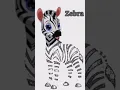 Cartoon Zebra Coloring and Drawing For Kids