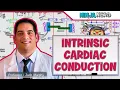 Download Lagu Cardiovascular | Electrophysiology | Intrinsic Cardiac Conduction System