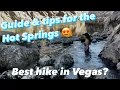 HIKING TO THE ONLY HOT SPRINGS IN VEGAS Goldstrike Canyon Hike Tips you need before going