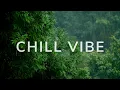 Download Lagu Chill VIBE - Music for night!