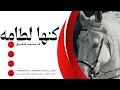 شيلة كنها لطامه اداء صوت الفخامه متعب الخيل جديد2023 حصرياً