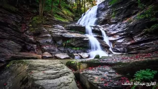 سورة الملك بصوت القارئ عبدالله الخلف 1437 