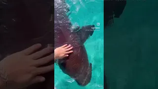 a good life but a simple one ⛵️