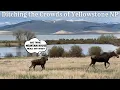 Red Rock Lakes National Wildlife Refuge Mountain House Meal review