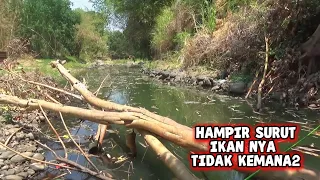 Musim Kemau Panjang‼️Mancing di musim kemarau disisa sisa sungai yang masih ada air nya