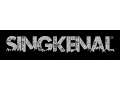Download Lagu SINGKENAL - Ku Coba Bertahan Versi HD | Bidadari Full Band