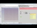 Dynamic Patterning 08 Attractors Expressions