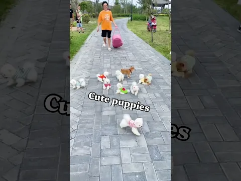 बेचारे Puppy 🐶 को कोई नहीं ख़रीद रहा 🥹 | Cute Dog 🐕