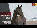 Cornet Obolensky Auction Lot 28 Captain s Daughter Stute v Captain Fire - Caspar