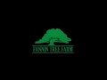 Fannin Tree Farm Transplanting an 85 000 lb Live Oak Tree in Dallas TX