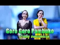 Download Lagu GORO GORO TEMBANG PAMBUKO || CAMPURSARI DANGDUT KOPLO GAYENG Download Lagu GORO GORO TEMBANG PAMBUKO || CAMPURSARI DANGDUT KOPLO GAYENG