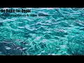 Lianne La Havas & Willy Mason - No Room for Doubt