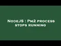NodeJS Pm2 process stops running