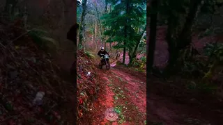 Https Www Facebook Com Reel 877732470774150 Mibextid RS40aB7S9Ucbxw6v 