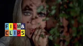 La Volpe dalla Coda di Velluto - #Clip2 Sub Français (HD) by Film&Clips