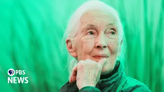 WATCH LIVE Primatologist Jane Goodall Honored At Washington National Cathedral Memorial Service 