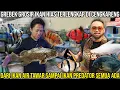 Download Lagu GREBEK GROSR IKAN HIAS TERLENGKAP DI CENGKARENG DARI IKAN AIR TAWAR SAMPAI PREDATOR SEMUA ADA