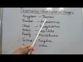 Mangifera indica mango classification