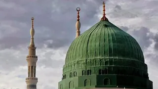 تلاوة عطرة من سورة الأنبياء والصف الشيخ علي الحربي الرفاعي من صلاة الجمعة 