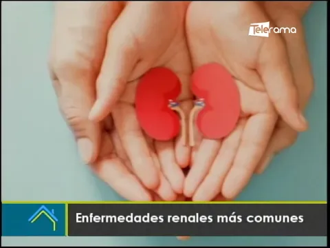Enfermedades renales más comunes