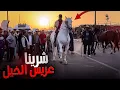 Download Lagu سوق الكفاف اليوم بادريس دار صفقة مربوحة💯 شراء عريس الخيل