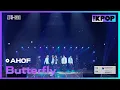 Download Lagu AHOF, Butterfly | MyK FESTA | MyK LIVE KPOP