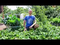 Full New Jersey 10 Acre Farm and Garden Tour