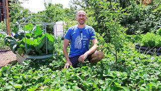Full New Jersey 10 Acre Farm and Garden Tour