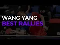 Download Lagu Wang Yang | Best Table Tennis Rallies
