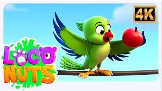 Main Tota Main Tota, मैं तोता, Hindi Nursery Rhymes and Kids Poems