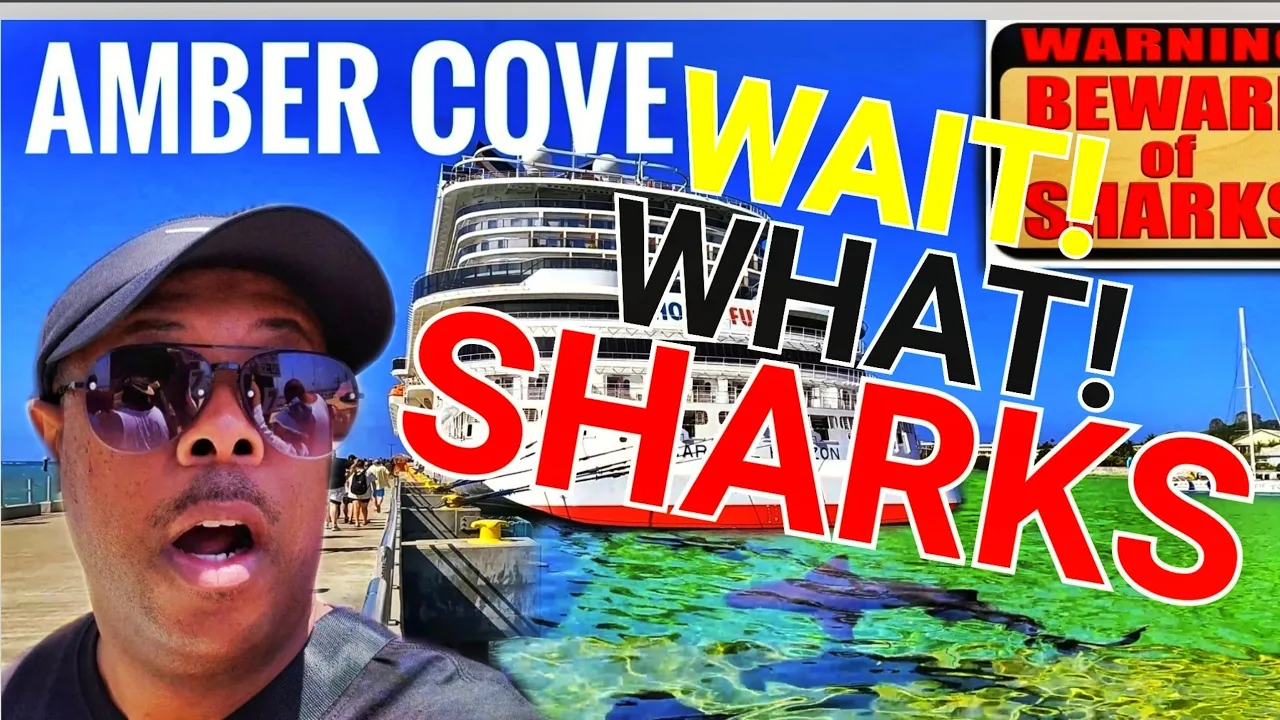 Sharks, Dolphins, Sea Lions in Amber Cove, Puerto Plata (Carnival Horizon)