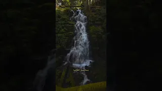 ابتهال يهز القلب غرتني الأماني 