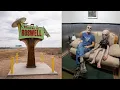 6 Things to do in Roswell New Mexico