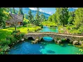 Lagu Beautiful Relaxing Music🌿Stop Overthinking, Stress Relief Music, Recover Your Nervous System