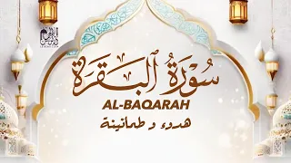 Abdullah Shaaban سورة البقرة كاملة بصوت شاب عبد الله شعبان يلامس القلوب Soothing Quran Recitation 