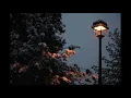 kudasai ft. benji gabriel - night light (slowed & reverb)