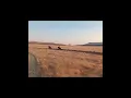 Download Lagu Traditional horse racing_kwaMthonti MP