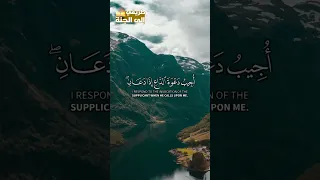 وإذا سألك عبادي عنى فإنى قريب سورة البقرة للشيخ مشاري العفاسي قرآن كريم  وإذا سألك عبادي عنى فإنى قريب سورة البقرة للشيخ مشاري العفاسي قرآن كريم