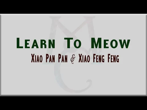 Download MP3 Learn To Meow by Xiao Pan Pan & Xiao Feng Feng [Lyrics & English Translation]