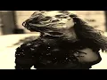 Holed Coin - Echo (Rapossa Remix)