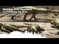 Download Lagu 11. The Triassic Era / Crossing the River | recreated soundtrack